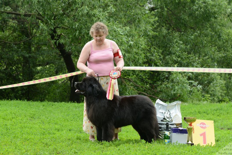 Фотография № 157866