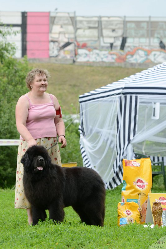 Фотография № 157868