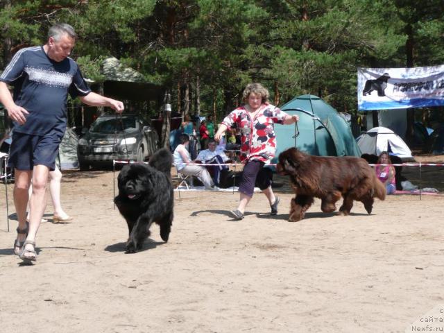 Фотография № 15787