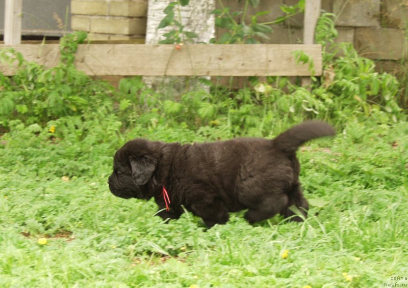 Фотография № 157904