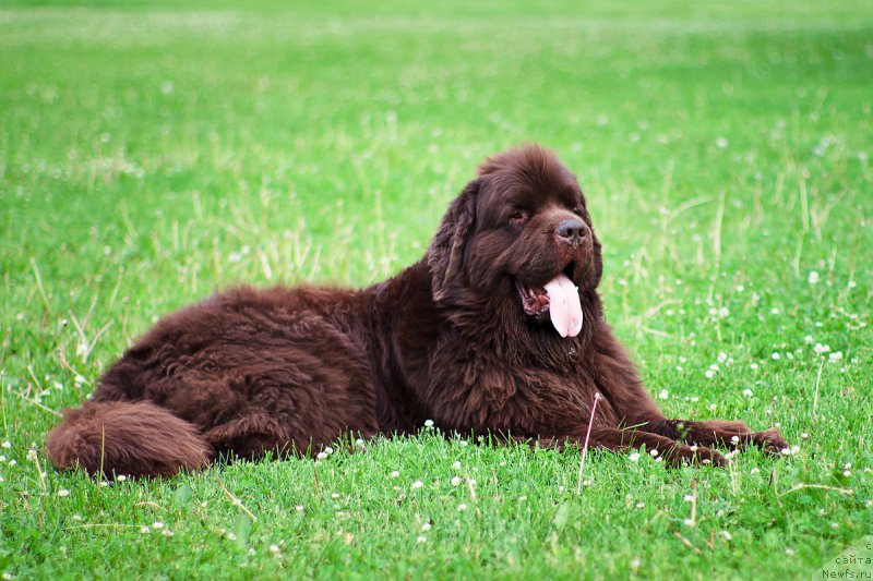 Фотография № 157905