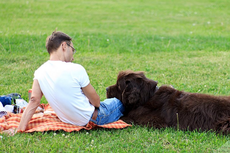 Фотография № 157909