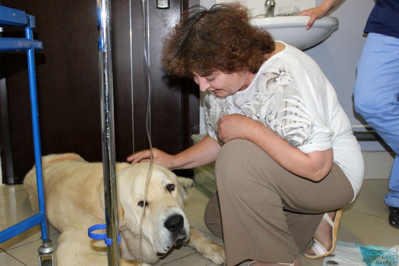 Фотография № 157947