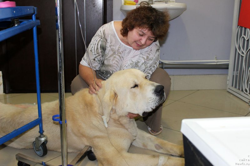 Фотография № 157949