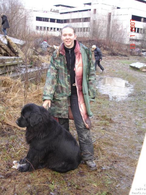 Фото: ньюфаундленд Nort Fyeys Lavanda (Норт Фэйс Лаванда), Tat'yana Rozanova (Татьяна Розанова)
