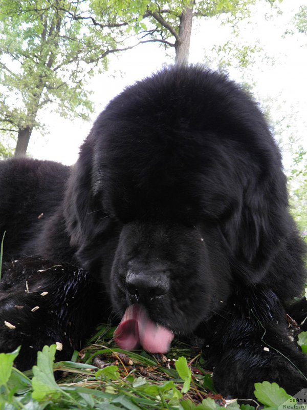 Фотография № 158003