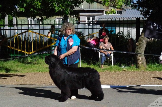 Фотография № 158025