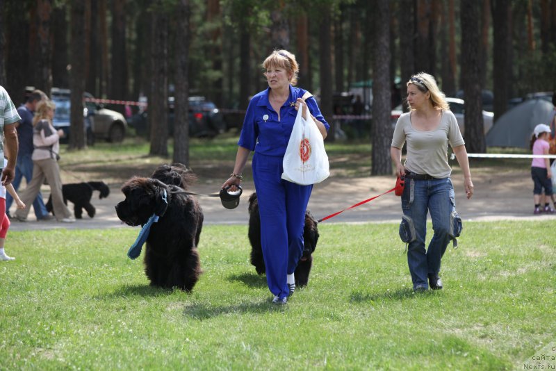 Фотография № 158049