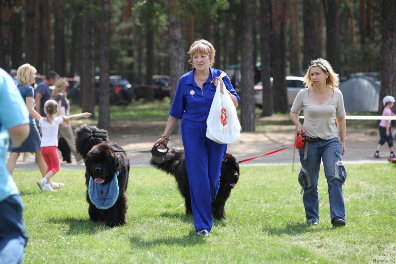 Фотография № 158050