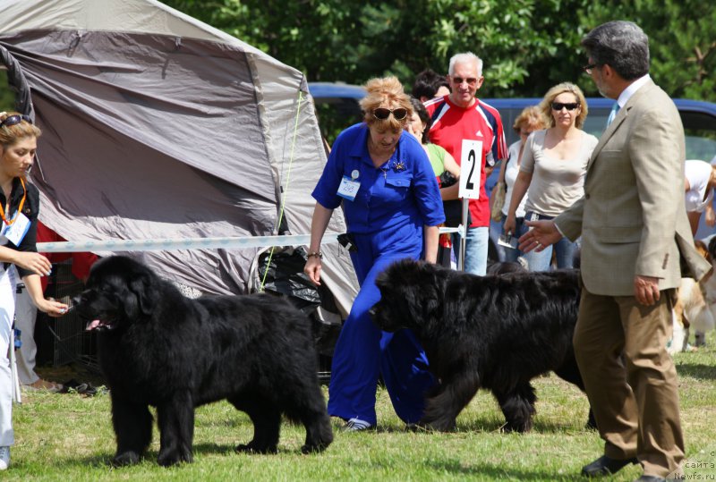 Фотография № 158069