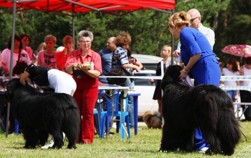 Фотография № 158071