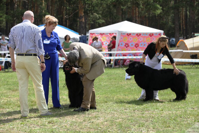 Фотография № 158072