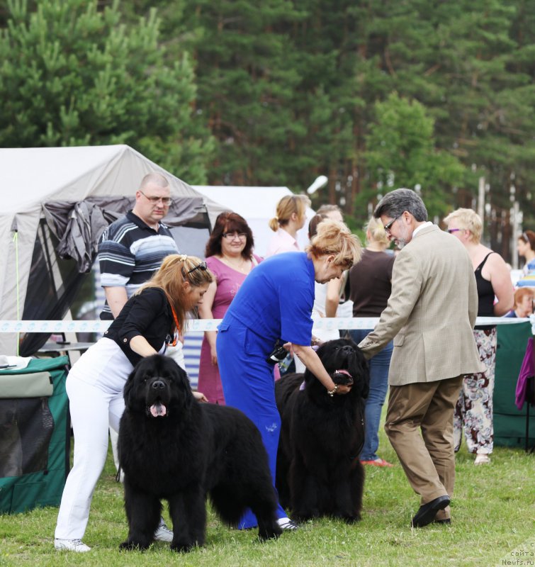 Фотография № 158073