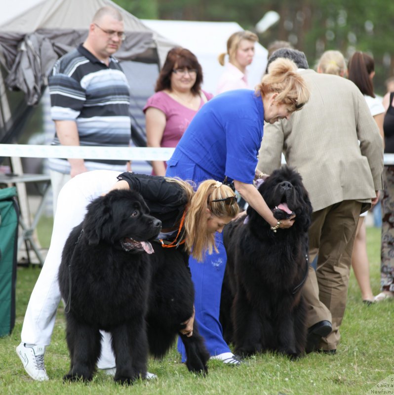 Фотография № 158074