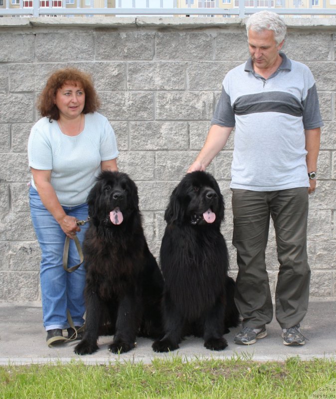 Фотография № 158082