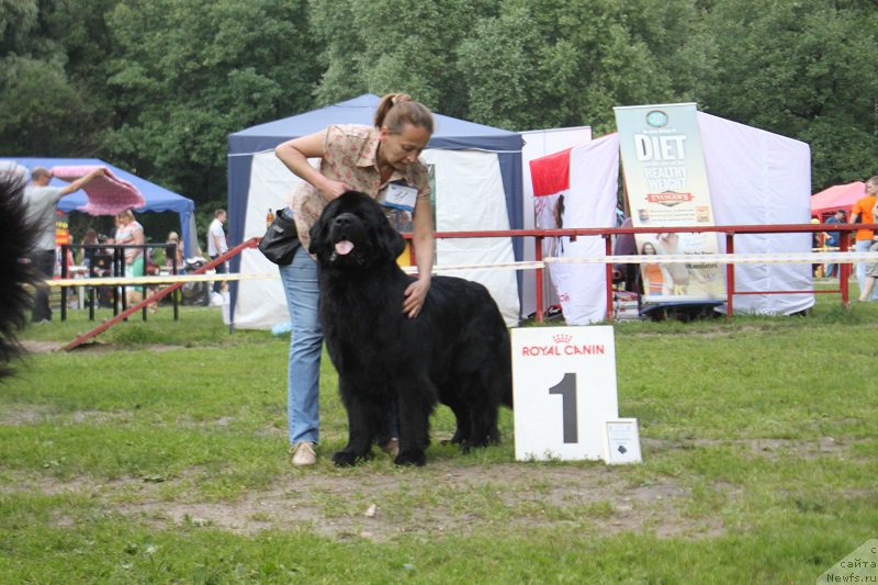 Фотография № 158086