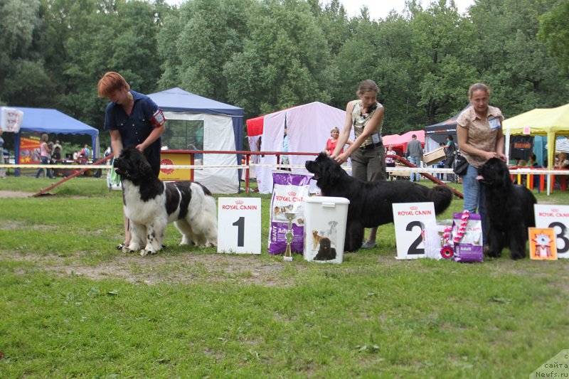 Фотография № 158091