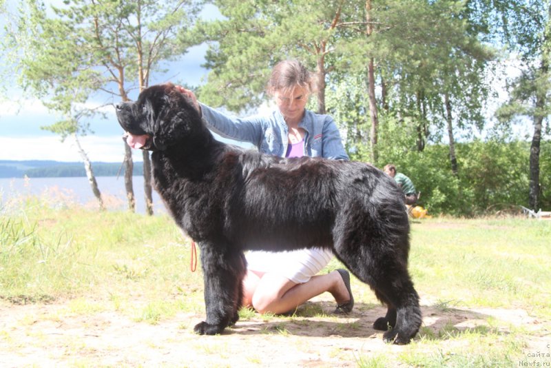 Фотография № 158096