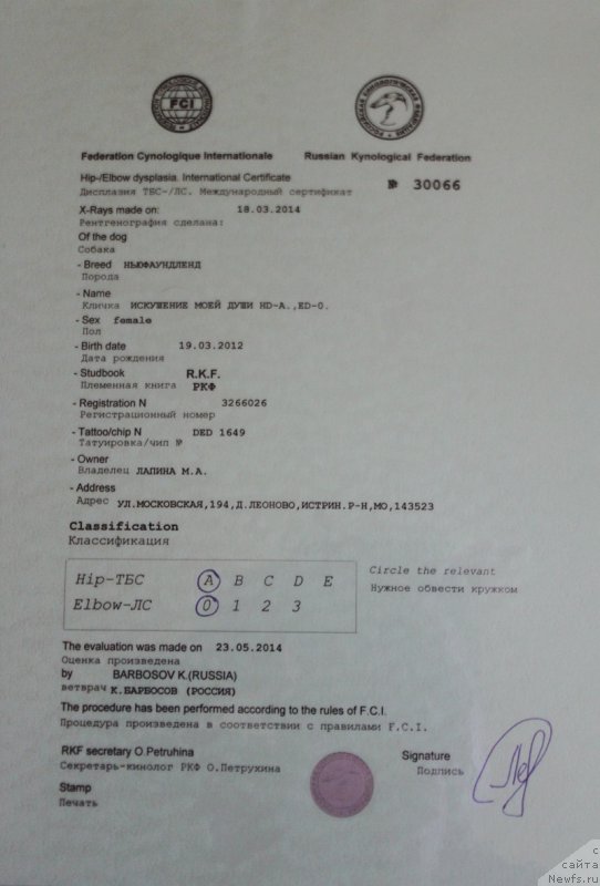 Фотография № 158099