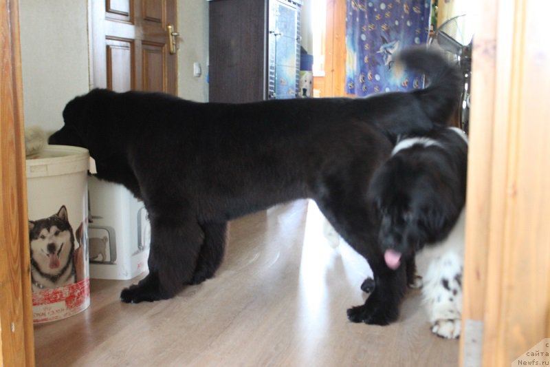 Фотография № 158102