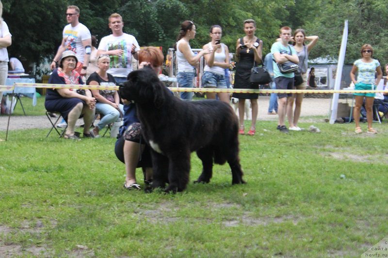 Фотография № 158105