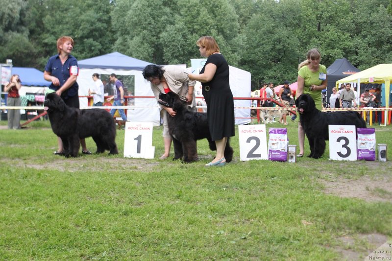 Фотография № 158131