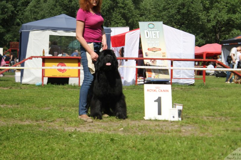 Фотография № 158134