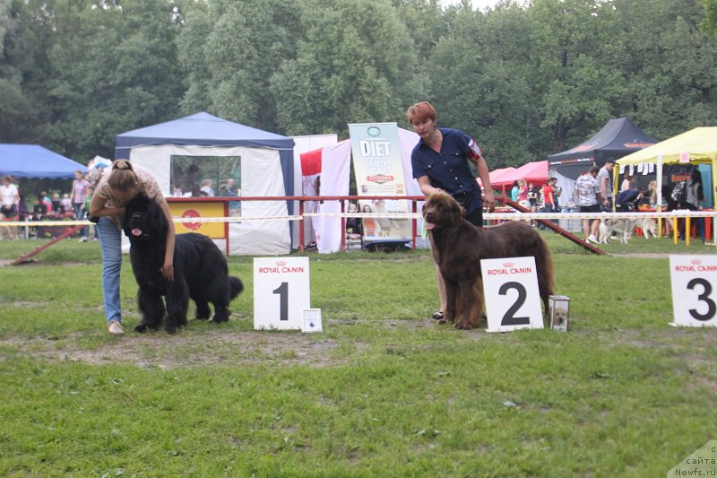 Фотография № 158138