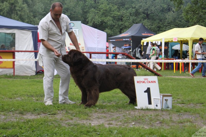 Фотография № 158139