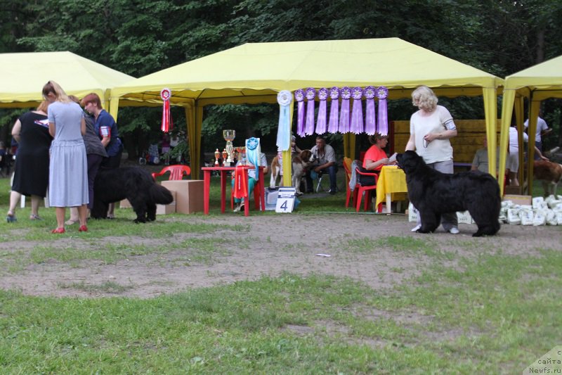 Фотография № 158141