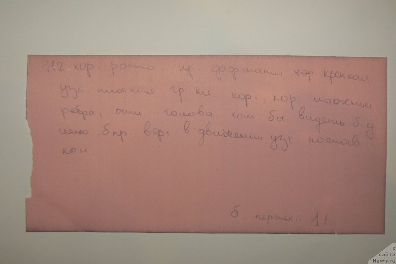 Фото: Mihail Pucillo (Михаил Пуцилло)