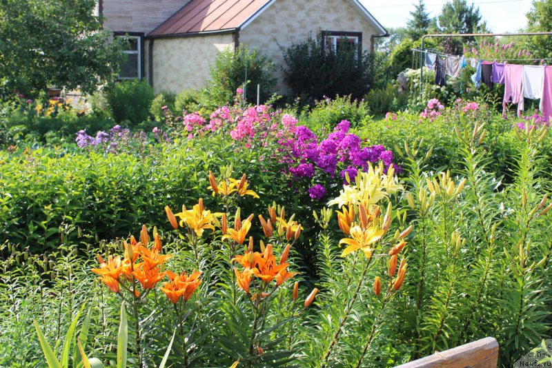 Фотография № 158175