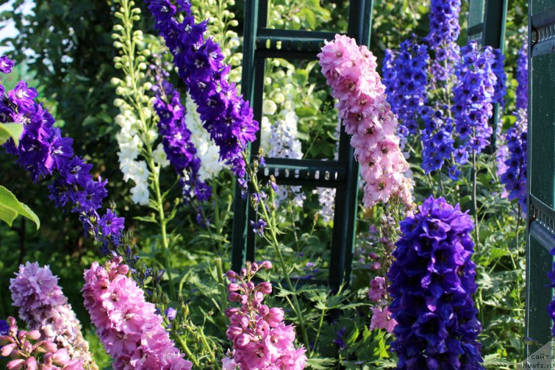 Фотография № 158180