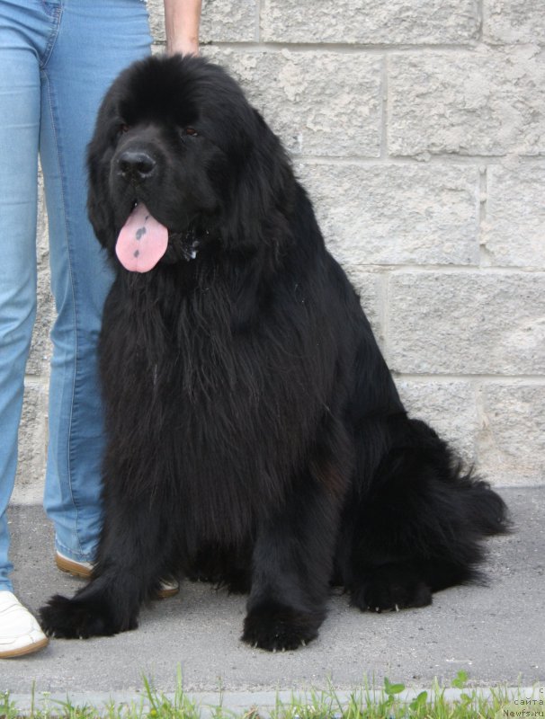 Фотография № 158187