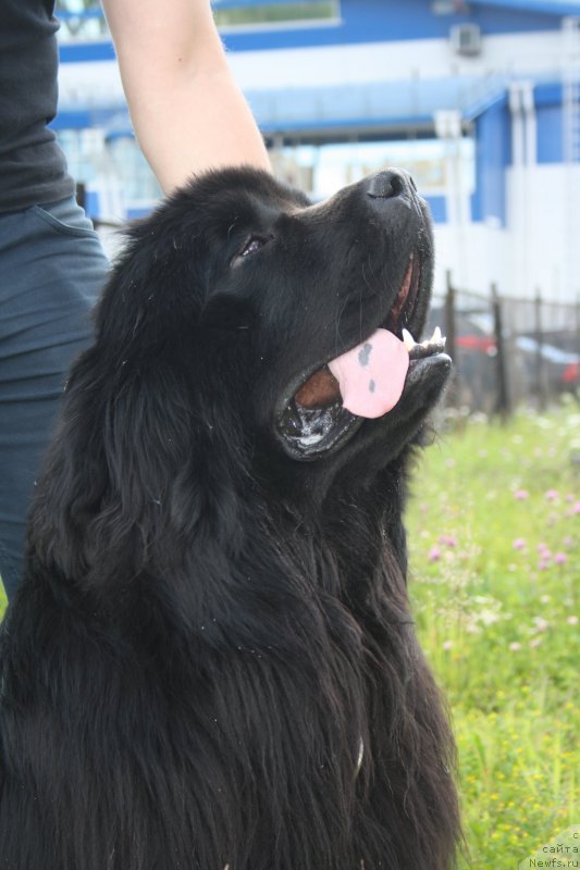 Фотография № 158188