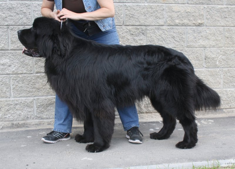 Фотография № 158190