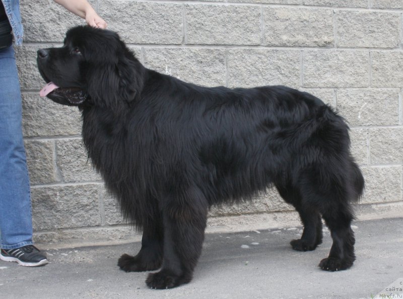 Фотография № 158191