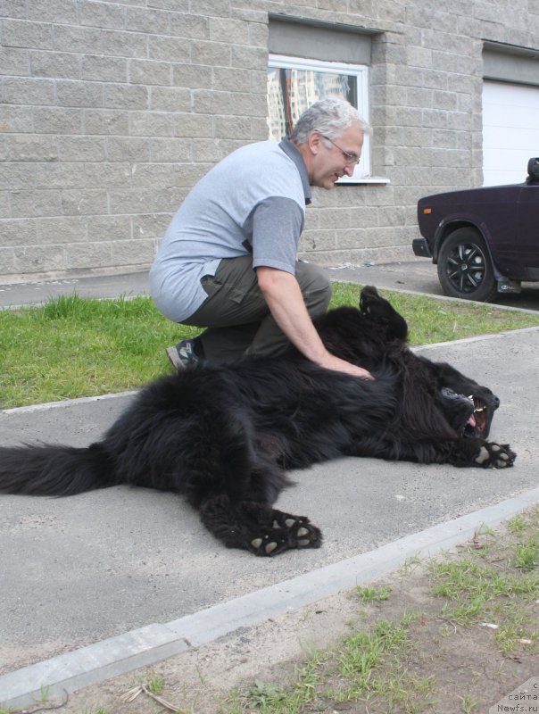 Фотография № 158194