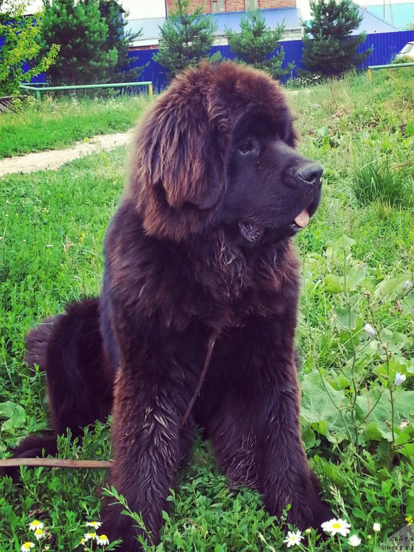 Фотография № 158196