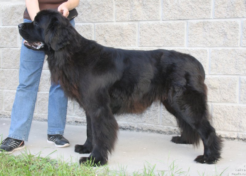 Фотография № 158199