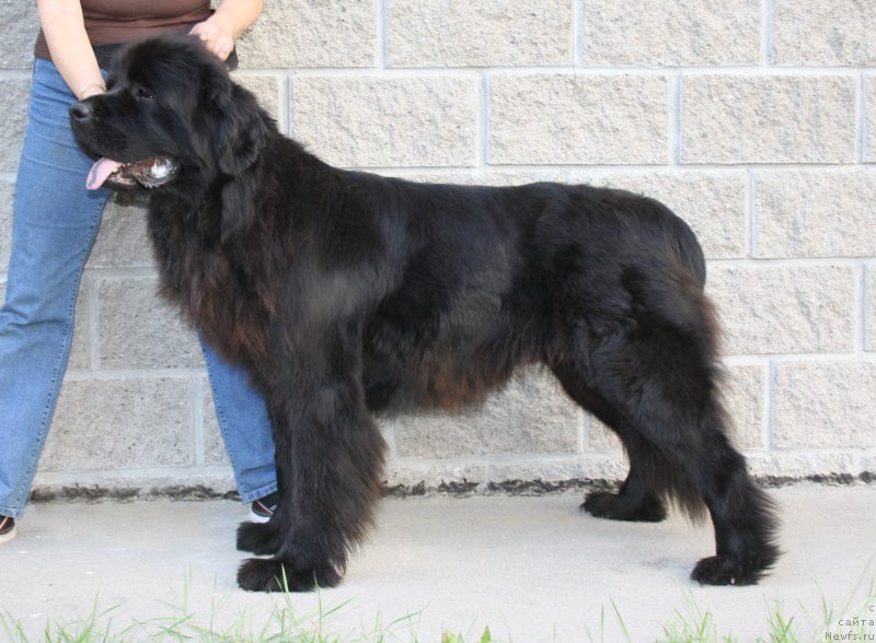 Фотография № 158200