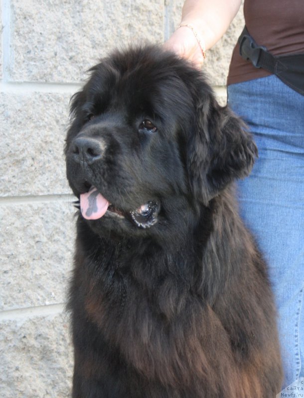 Фотография № 158202