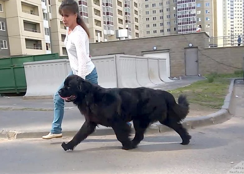 Фотография № 158205