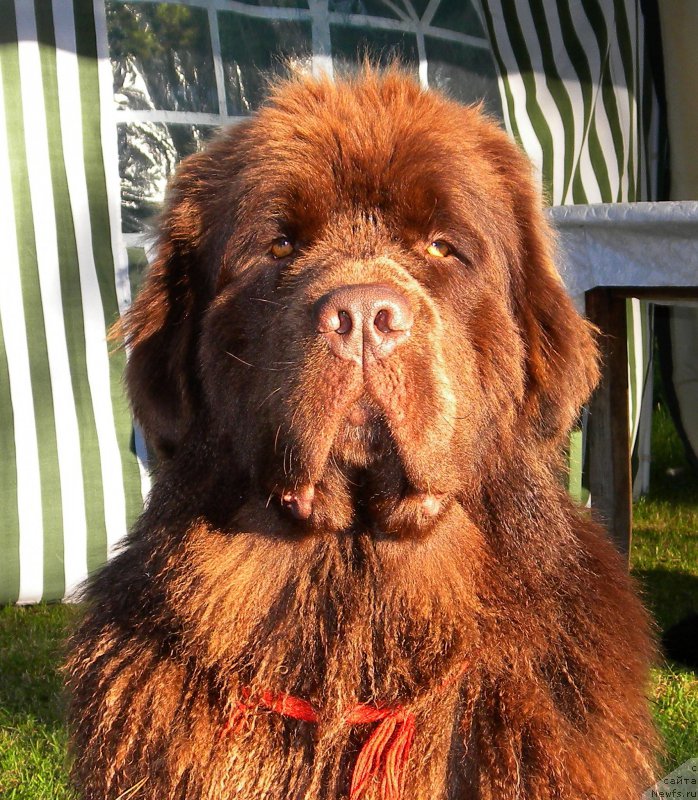 Фотография № 158222