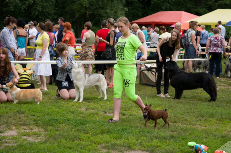 Фотография № 158225