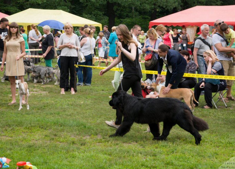 Фотография № 158226