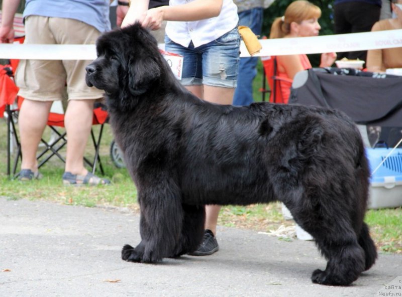 Фотография № 158234