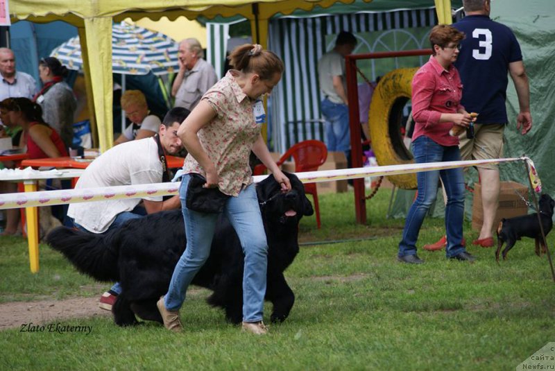 Фотография № 158238