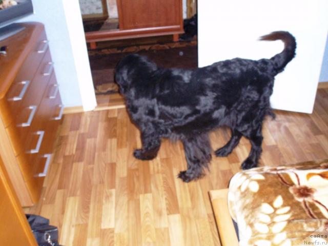 Фото: Aleksandrovich Kononenko (Александрович Кононенко)