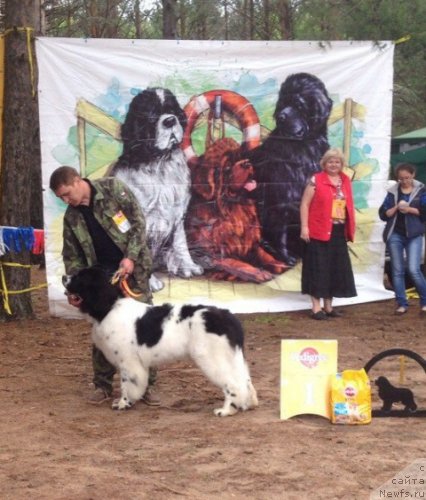 Фотография № 158261